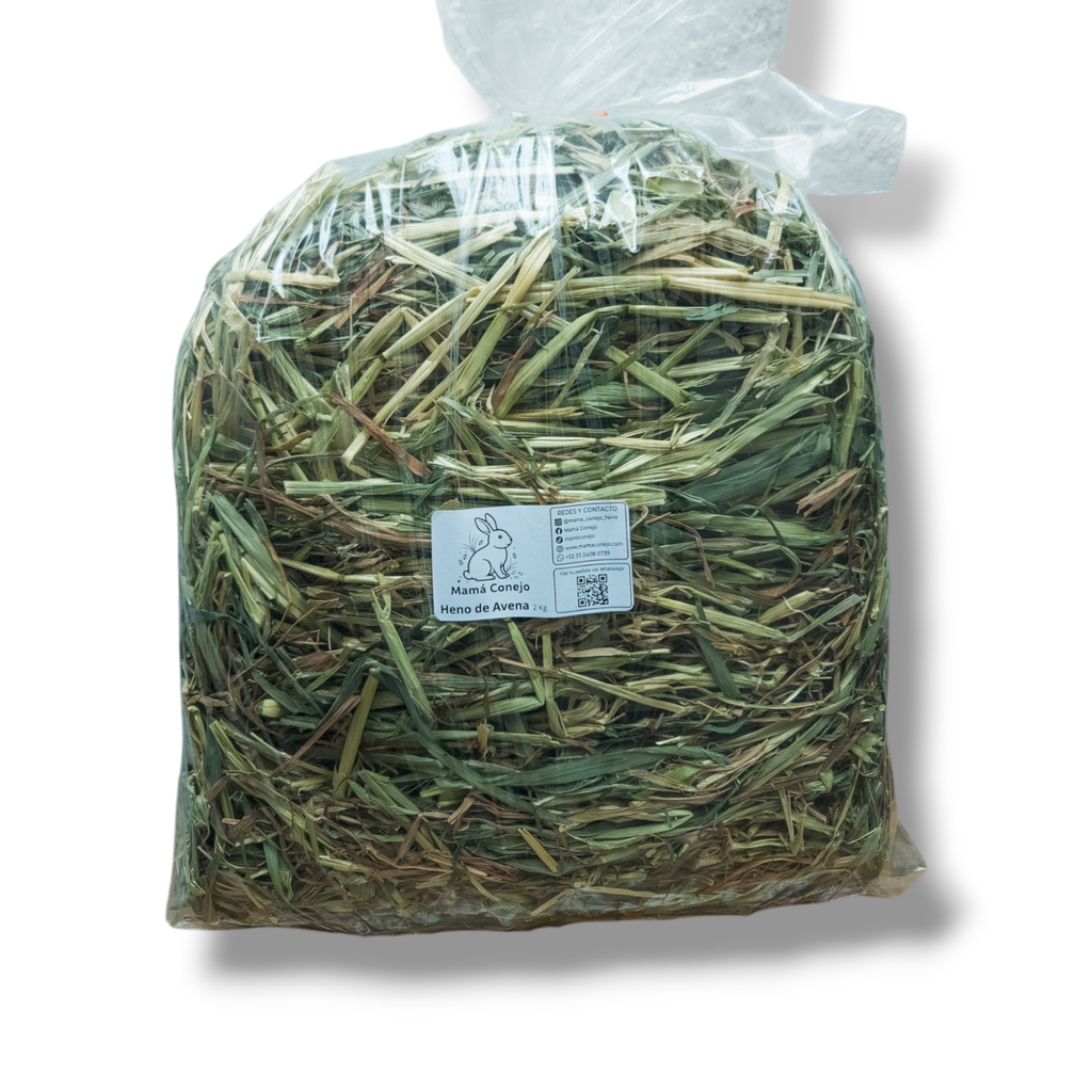 Heno de avena - 2kg