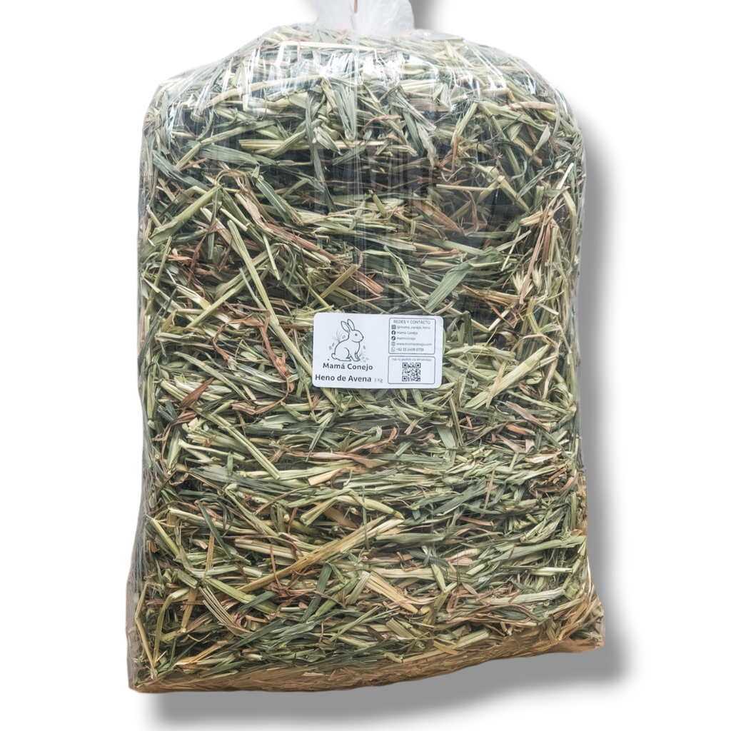 Heno de avena - 3kg