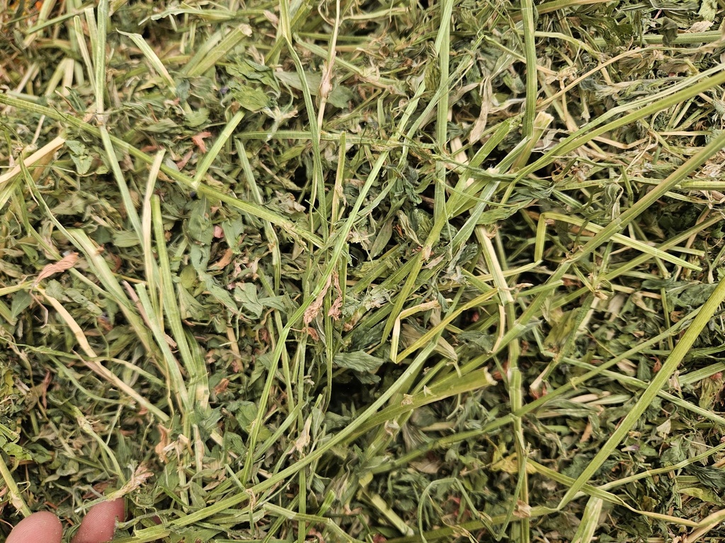 Heno de alfalfa - 1kg