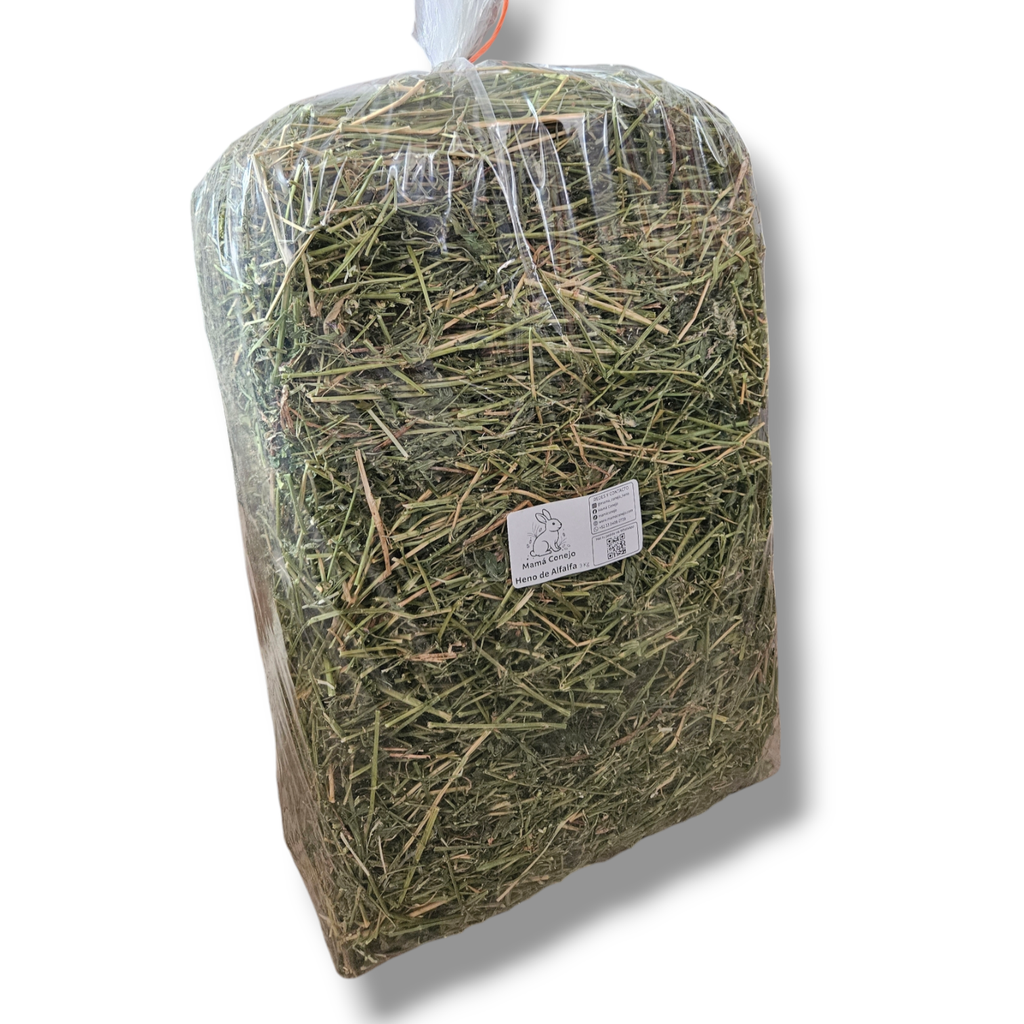 Heno de alfalfa - 3kg