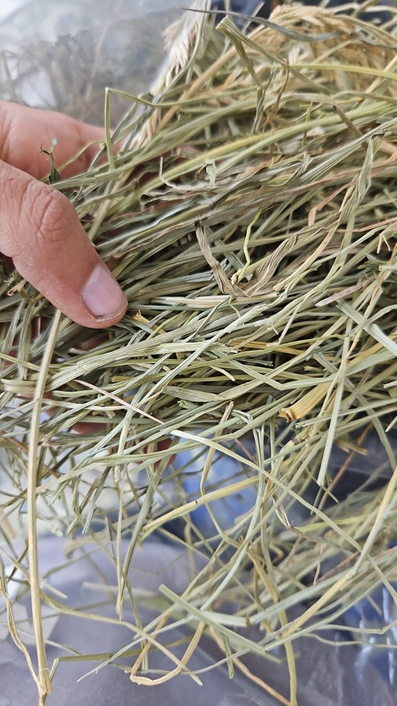 Heno festuca 0.5kg